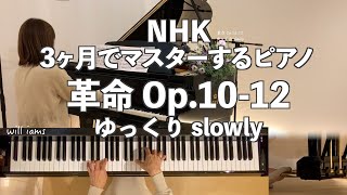 【革命 『NHK3ヶ月でマスターするピアノ』ver】とてもゆっくり0３倍速♩42 ショパン】ペダル画像入り1211piano [upl. by Porte]