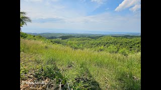 35 hectares overlooking Seaview for mountain resort development at Aloguinsan Cebu 250sqm [upl. by Nauqel]