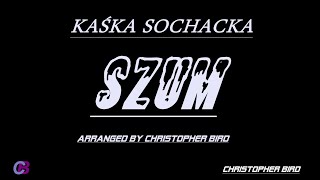 KAŚKA SOCHACKA  SZUM KARAOKEINSTRUMENTALarranged by Christopher Bird [upl. by Carolus761]