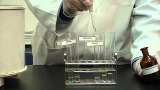 Ninhydrins test Part 2 Identification of Proteins or Amino Acids [upl. by Ahsial]