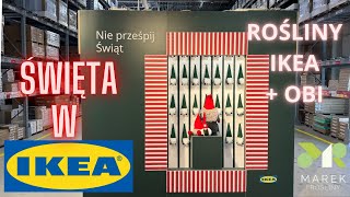 ŚWIĘTA W IKEA plus rośliny w IKEA i OBI  zapraszam na wycieczkę [upl. by Marijane828]