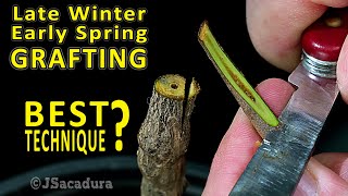 BEST GRAFTING TECHNIQUE in early SPRING  Grafting Fruit Trees [upl. by Gnilsia]