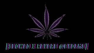 chica te lo ruego maicol amp manuel slowed x reverb byDFMS Greyskull Abusando [upl. by Bouton]