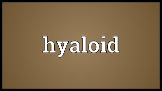 Hyaloid Meaning [upl. by Ennaylil]