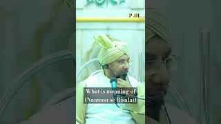 What is meaning of naamoserisalat allama Farooq rizwi [upl. by Siaht]