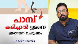 പാമ്പ് കടിച്ചാൽ ഉടനെ ഇങ്ങനെ ചെയ്യണം  snake bite first aid  Dr Allen Thomas [upl. by Nogras164]