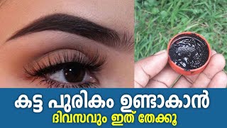 കട്ട പുരികം ഉണ്ടാകാൻ ദിവസവും ഇത് തേക്കൂ  How to thicken eyebrows Use this remedy at home [upl. by Mcclenon]