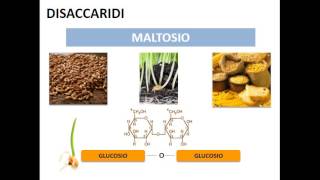 Gli acidi nucleici [upl. by Winfred]