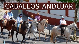 Caballos en Andújar Jaén [upl. by Yenruoc648]