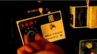 Mutron Micro V Envelope Filter PEDAL DEMO [upl. by Nitsed198]