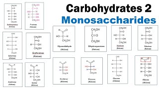 Carbohydrates 2  Monosaccharides  Aldoses  Ketose  Triose  Pentose  Hexose  Dr Ghanshyam [upl. by Charmion707]