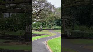 Liliuokalani Gardens in Hilo hilohawaii [upl. by Sawyer]