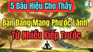 5 Dấu Hiệu Cho Thấy Bạn Đang Mang Phước Lành Từ Nhiều Kiếp Trước   Sống Và Ngẫm [upl. by Ycrem722]