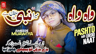 New latest Pashto Naat 2023  Wah Wah Sumra Khaista Nabi Sultan Dy  By Ameer Muawiya امیر معاویہ [upl. by Atteyram]