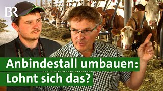 Anbindehaltung vor dem Aus  Bauern in der Klemme Dicht machen oder umbauen  Unser Land  BR [upl. by Olimpia21]