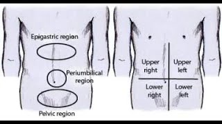 Physical Examination in Patients with Acute Abdomen [upl. by Bibeau]