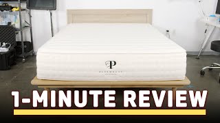 Plushbeds Botanical Bliss 1Minute Mattress Review [upl. by Dahij690]