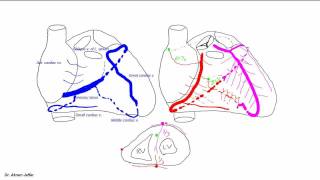 Blood supply of the heart [upl. by Stanford]