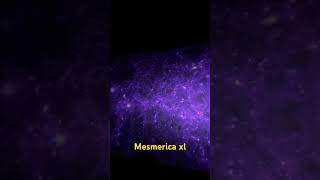 Off Day Mesmerica XL mesmerica mesmericaxl naturalsciencecenter hampton youtubeshorts [upl. by Nodmac]