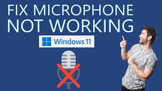 How to Fix Microphone Not Working on Windows 11 [upl. by Stegman]