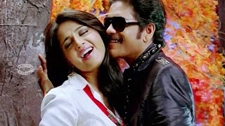 Hey Penne Appile  New Malayalam Movie Song  LAHALA  ലഹള   Nagarjuna amp Anushka Shetty [upl. by Armahs249]