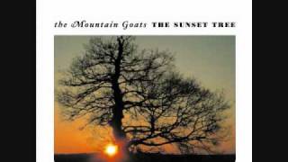 The Mountain Goats  This Year [upl. by Asilav]