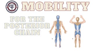 Posterior Chain Mobility [upl. by Lole749]