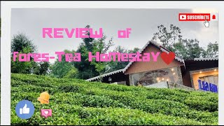 Darjeeling Offbeat Destination  Rungli Rungliot Tea Garden offbeatnorthbengal travel darjeeling [upl. by Monagan]