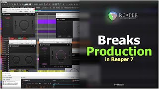 reaper7 breaks  Breaks in Reaper 7  electronicmusicproduction [upl. by Agace]