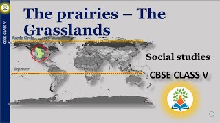 The prairies  The Grasslands  Class 4  What is known as the prairies Where are the grasslands [upl. by Annaierb]