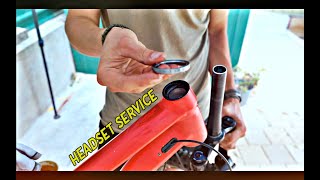 Headset Service  How To Grease a MTB Headset In 5 Minutes [upl. by Collyer20]