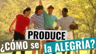 3 Principios de la Creación  ¿Cómo se produce la alegría [upl. by Tor]