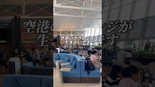 【天国】空港ラウンジ幸せすぎる🇻🇳shorts  ベトナム海外旅行 世界一周 [upl. by Flatto]