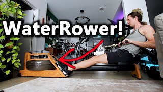 WaterRower A1 is a cheaper ERGATTA or Hydrow rowing machine alternative with ZERO monthly FEES [upl. by Jerrylee]