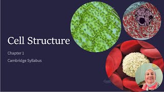 As Bio Cambridge Ch1 cell structure 2025 [upl. by Annawaj]