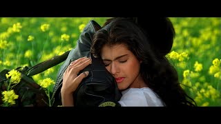 Dilwale Dulhania Le Jayenge Full Movie  Shah Rukh Khan  Kajol  Amrish Puri  Review amp Facts HD [upl. by Rednaxela840]