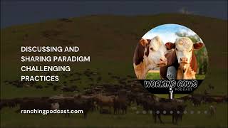 Ep 298 – Dawn Hnatow – Changing Stockmanship  Working Cows [upl. by Eittik]