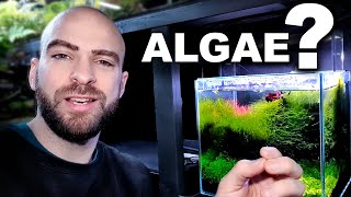 HOW TO STOP ALGAE why I dont have any  MD FISH TANKS [upl. by Navonoj]