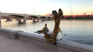 Doevember lakeside deer fursuit [upl. by Samp12]