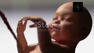 Fertilization to Childbirth Embryo Development  3D Medical Animation [upl. by Zetta]