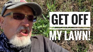 How to kill weeds in Bermuda grass [upl. by Seigel454]