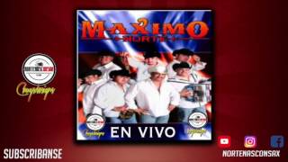 Maximo Norte  Yo Soy Norteño En Vivo [upl. by Raina]