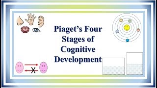 Piaget’s Four Stages of Cognitive Development [upl. by Antoni91]