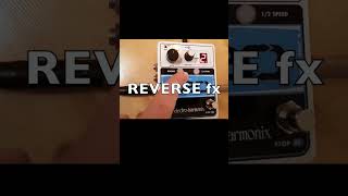 720 Looper Use quotREVERSEquot  Electro Harmonix [upl. by Beverlie]