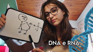 ASMR BIOQUÍMICA BASICA ÁCIDOS NUCLEICOS 🧬💕 [upl. by Agathe]