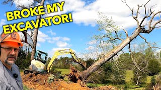 Digging BIG Trees With A MINI Excavator Yanmar VIO50 Digger [upl. by Lindeberg]