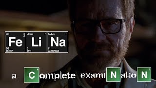 Breaking Bad Felina  A Complete Examination [upl. by Zertnom]