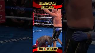 TRILOGY FIGHT FEROCIOUS BOXER BOWS TO TYSON FURY  WILDER VS FURY boxing [upl. by Norej]