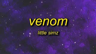 Little Simz  Venom Lyrics  its a womans world so to speak venom [upl. by Kifar723]