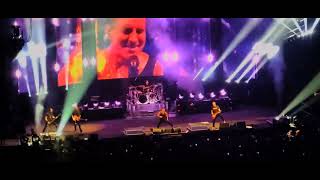 Creed  Live Van Andel Arena 2024 All Footage [upl. by Eelymmij]